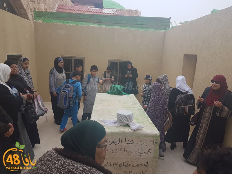 zhra2 hsewqa (3).jpg